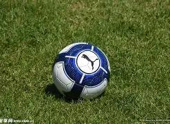 欧洲冠军联,赛及欧罗巴,联赛,OD体育,OD体育官网,OD体育官方,OD体育下载