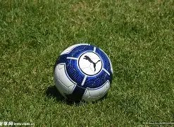 体育,资讯,od体育,OD体育,OD体育官网,OD体育官方,OD体育下载