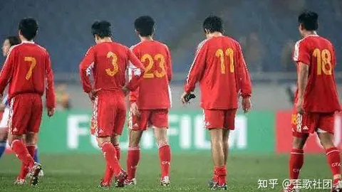 法兰克福3-1逆转霍芬海姆，德甲第25轮精彩回顾